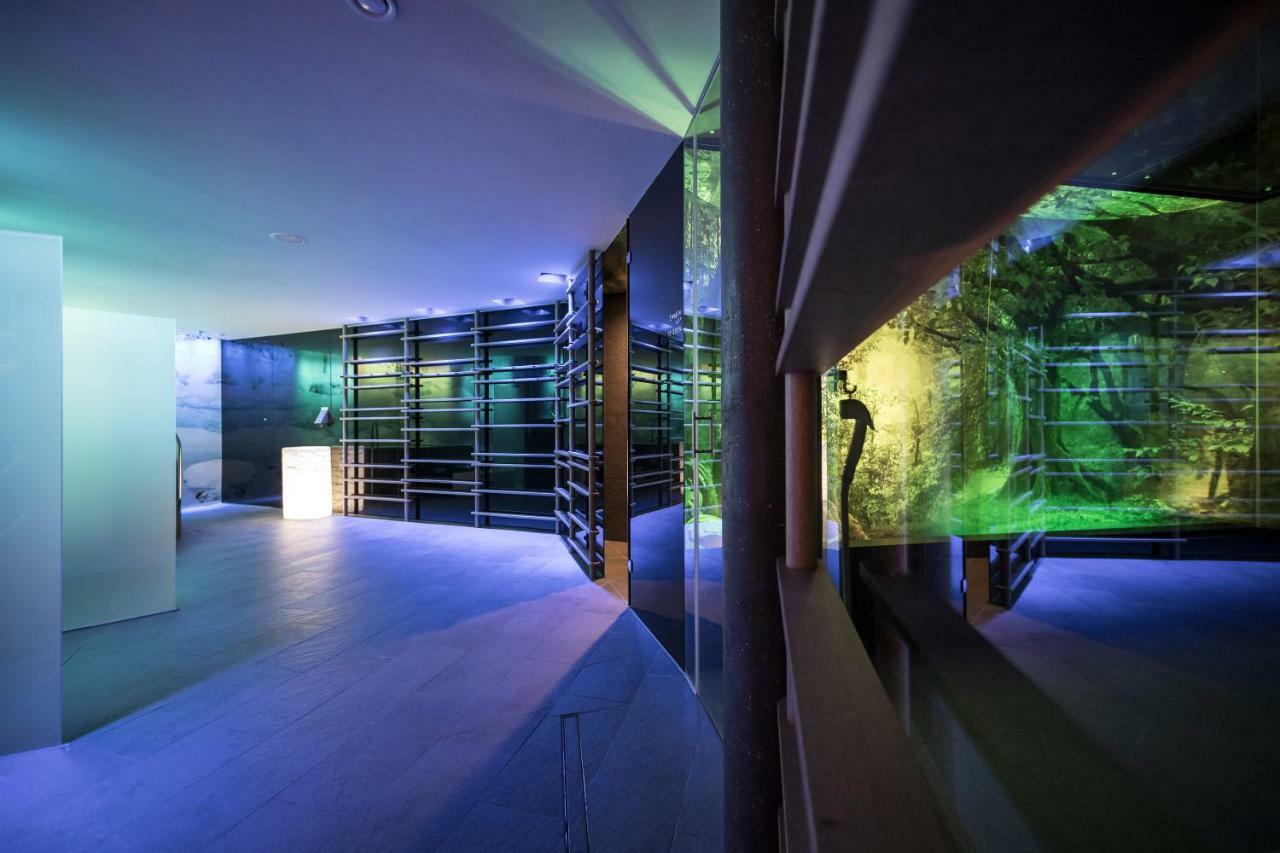 Spa & Relax Hotel Erika Τιρόλο Εξωτερικό φωτογραφία